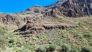 2023-04-GranCan-Guayadeque-018.jpg